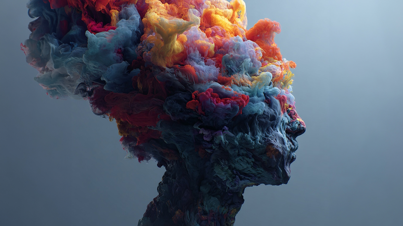 Presseinformation: Niederösterreich und Cannes ticken anders