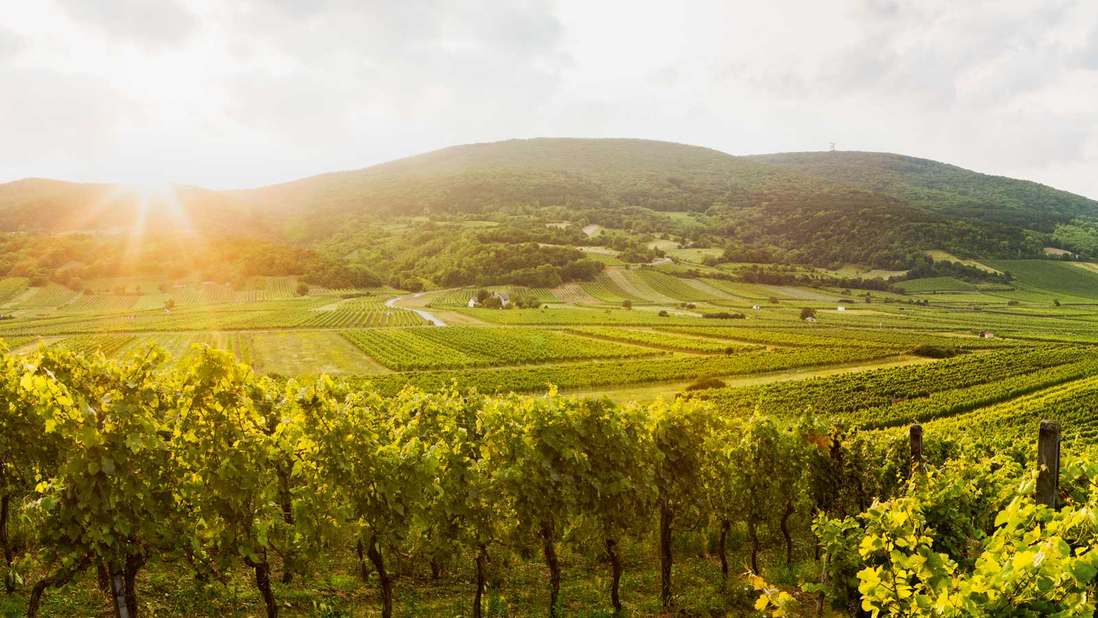 Kommunikation für eine Region mit Charakter