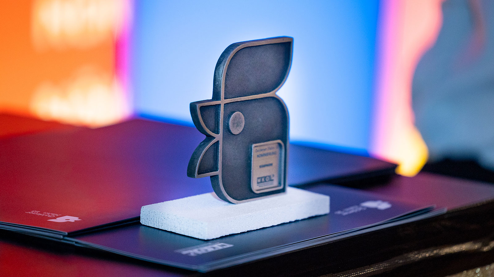 Nominierte, Gewinnerinnen und Gewinner Goldener Hahn ab 2017