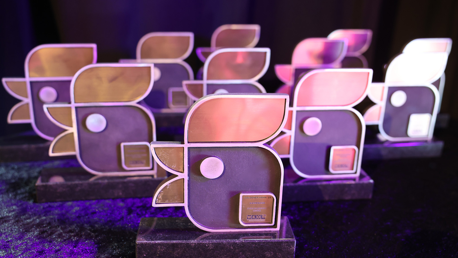 Goldener Hahn 2025: Event